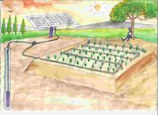 How Solar Irrigation Guarantees Year-Round